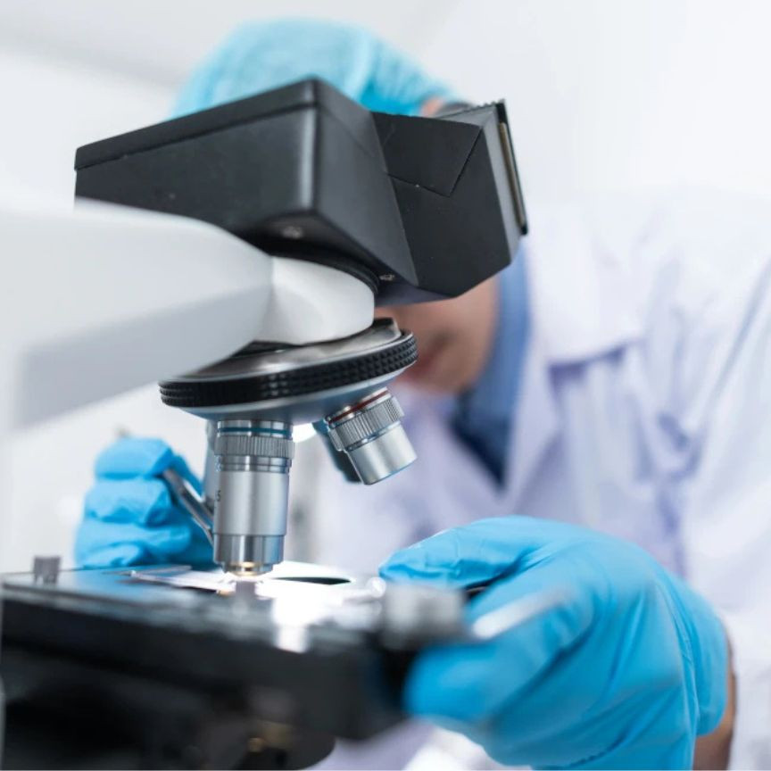 Max World Online promo